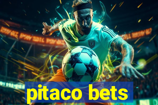 pitaco bets